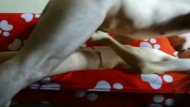 Video Sex ABG Bispak Open BO Murah Jakarta poster